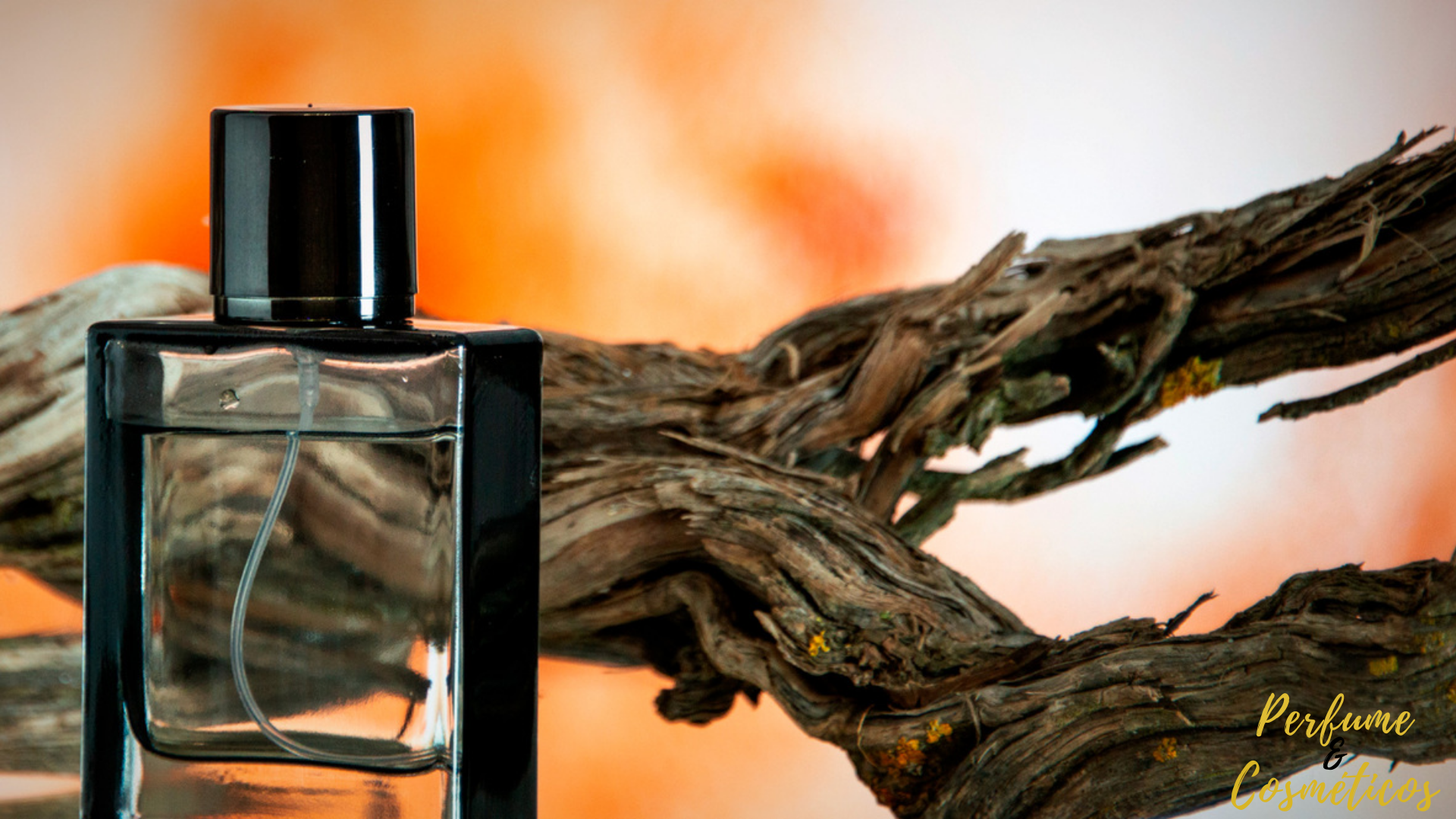 Perfume Masculino: Perfumes Importados Masculino Amadeirado